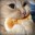 kittycat959