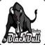 BlackBull