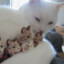 nazli