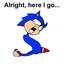 Gotta Go Fast