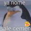 Setrocgame