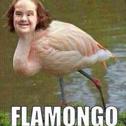 Flamongo