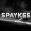 spaykee