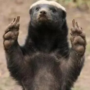 小麋鹿爱小菠萝