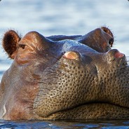 Rrasmus avatar