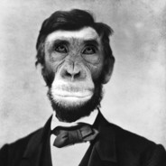 Ape Lincoln