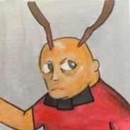 noooossssssssssaaaaaaaaaaaaaaa