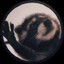 Avatar of -PB-