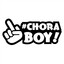 CHORA_BOY *.*