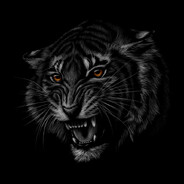 --Bizon-- Steam avatar