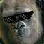 AwesomeGorilla