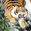 tigerbear