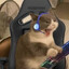 mlody_dree18 -Twitch-