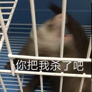 你肯定想不到我改名了