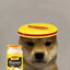 DZYGIT