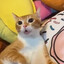 Pocka