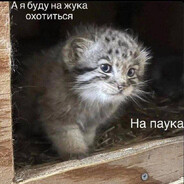 27 секунд