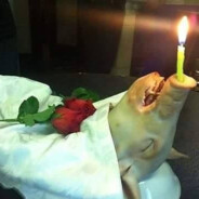 喜欢嘤嘤嘤的竹鼠商