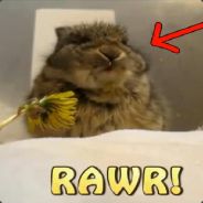 tuffjonis - steam id 76561197964338393