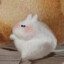 漫漫出逃