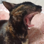 Poltergeist#♡﹏♡#