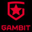 ArTeg_GAMBIT JUNIOR