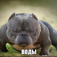 потужно свiн