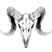 CurseForge profile picture for @Lids