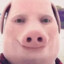 John Pork