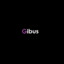 Gibus