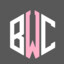 bWc_Wobo CSGOSKINS