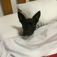 Jasper - steam id 76561197970979651
