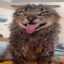 wwrrr