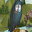 mart avatar