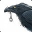 raven_mc