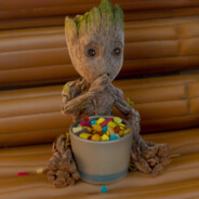 ImGrooT