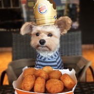Andy