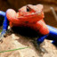 lagarto_spiderman