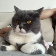 你们晚上就吃这种菜呀