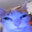 Gato_QL