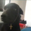 CIGANNO (DOGNODRIP)