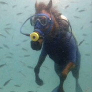 ромчик делин