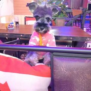 A出暴击的张大炮