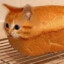 catbread