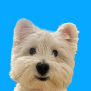 一直游到海水变蓝