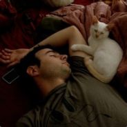 猜猜我是什么马