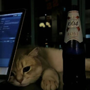 她还会再回来吗