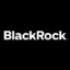 BlackRock Investment
