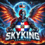 SkyKingDo