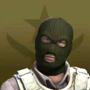 电脑玩家 尼古拉斯